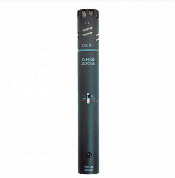 AKG C391