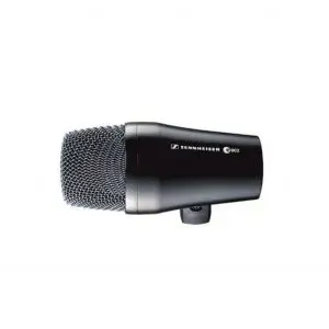 Sennheiser E902
