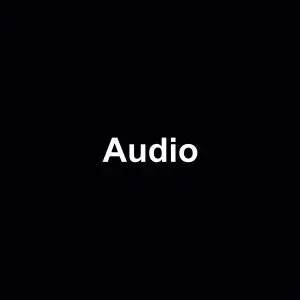 Audio